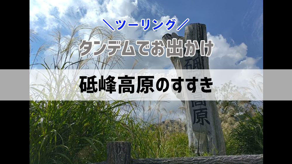 見頃みたいだったので砥峰高原に行ってきました！